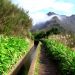 canal rega madeira