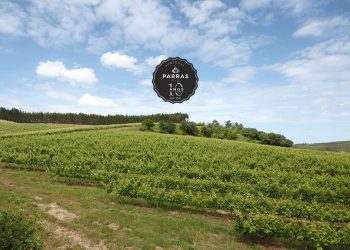 parra wines