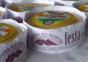 queijo oliveira da serra