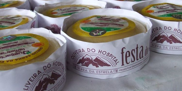 queijo oliveira da serra