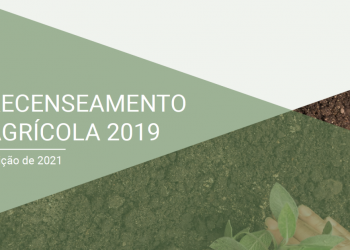 Recenseamento agrícola 2019