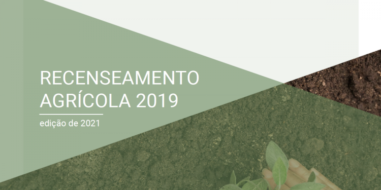 Recenseamento agrícola 2019