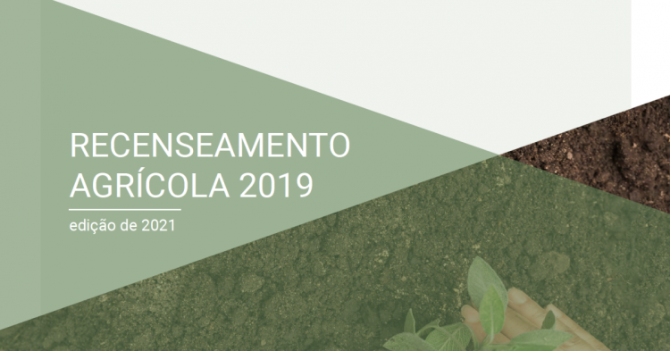 Recenseamento agrícola 2019