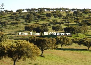 além risco