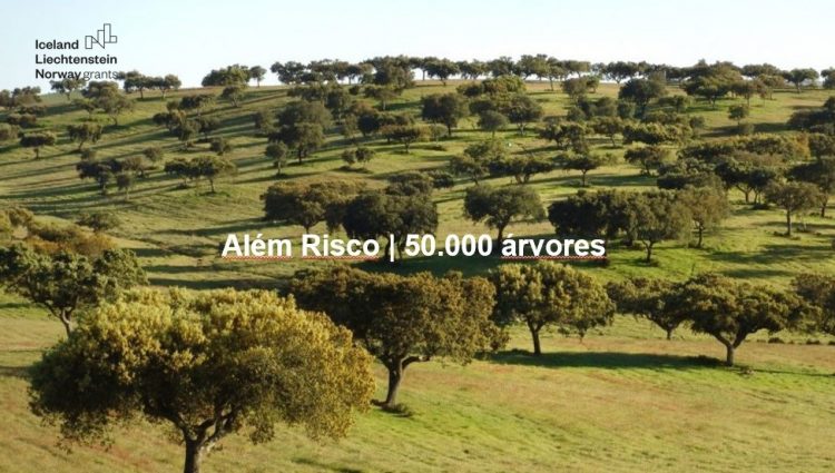 além risco