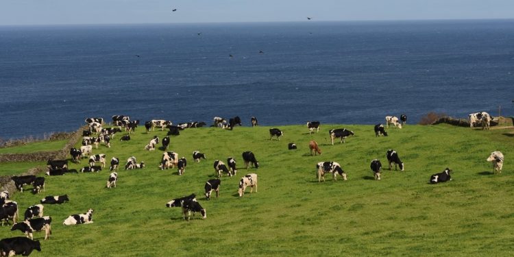 açores