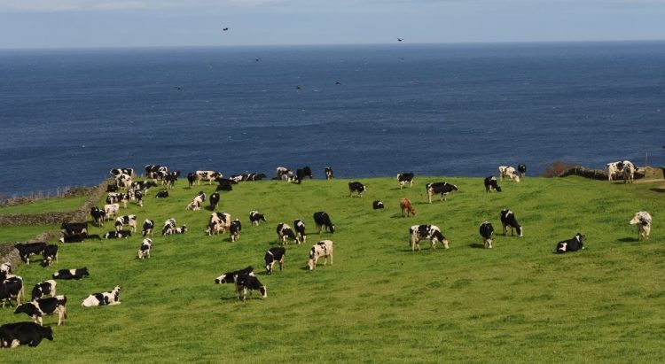 açores