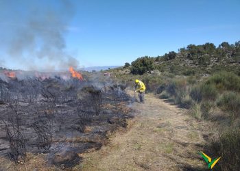 fogo controlado meda