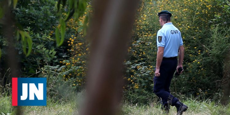 Póvoa de Lanhoso, 04/07/2017 - Um menino de 18 meses desapareceu de casa, ontem à noite, na rua Rua de São Sebastião, em Serzedelo. A Polícia Judiciária, a GNR e os Bombeiros Voluntários da Póvoa de Lanhoso efetuam buscas por Iuri Manuel Branco da Silva.