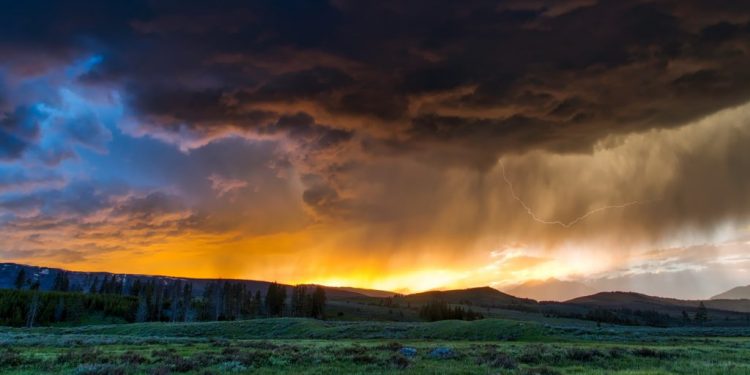yellowstone