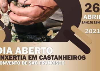 Dia Aberto do Castanheiro