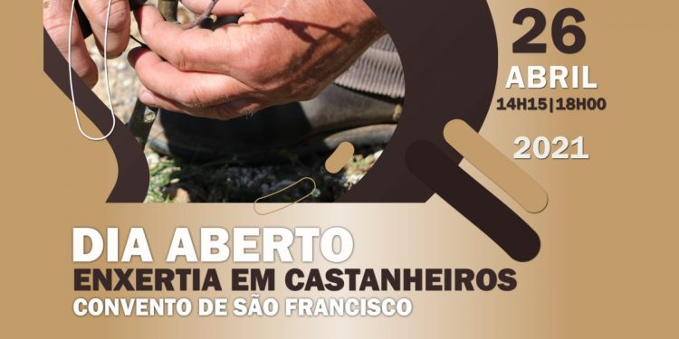 Dia Aberto do Castanheiro