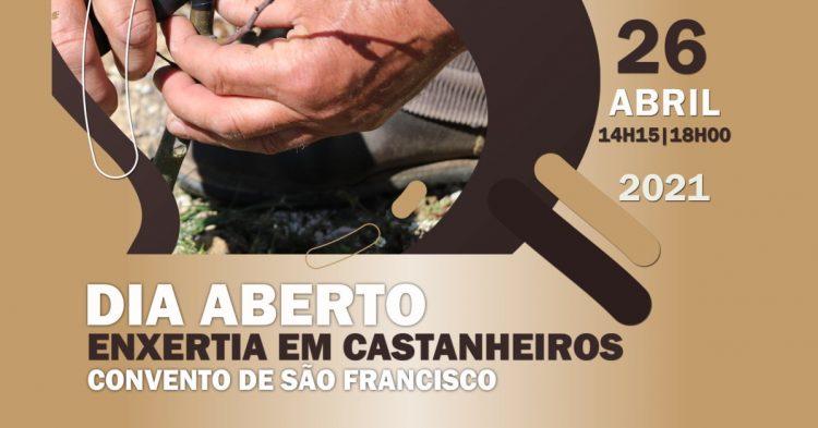 Dia Aberto do Castanheiro