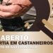 Dia Aberto do Castanheiro