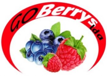 G.O.-Berrys