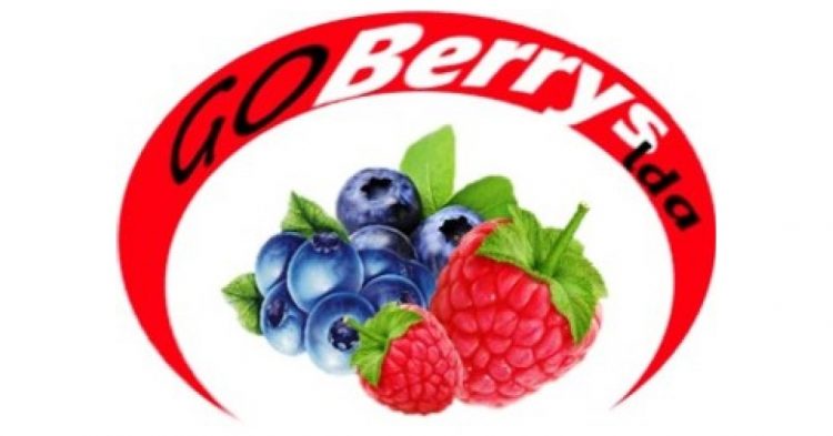G.O.-Berrys