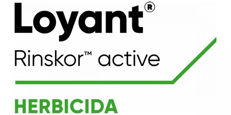 LOYANT