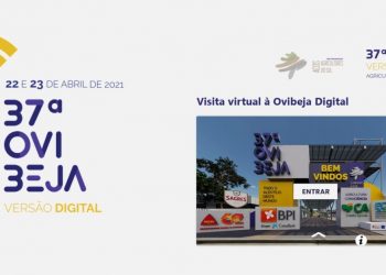 Ovibeja Digital