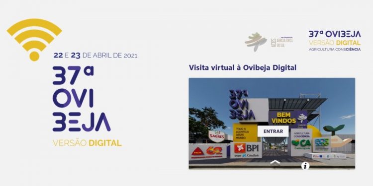 Ovibeja Digital