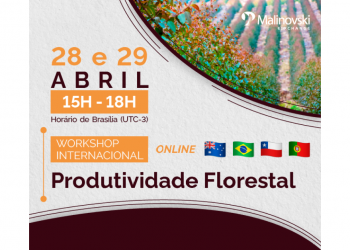 produtividade florestal