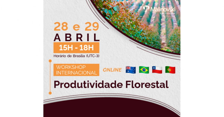 produtividade florestal