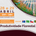 produtividade florestal