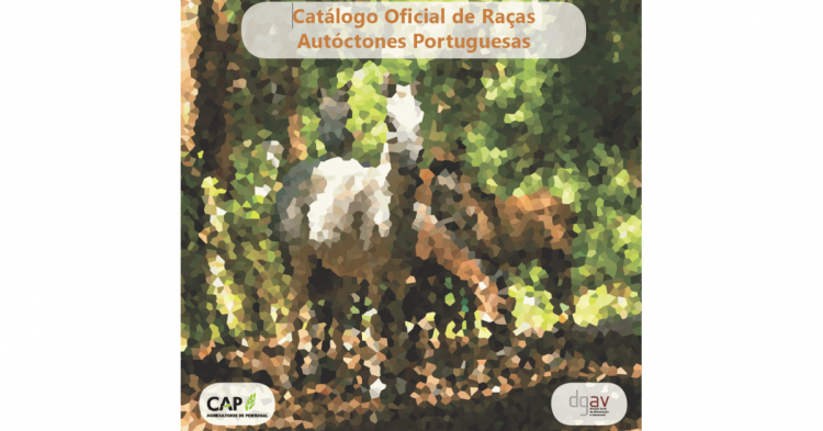 catalogo raças autóctones