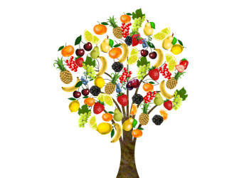 fruit tree