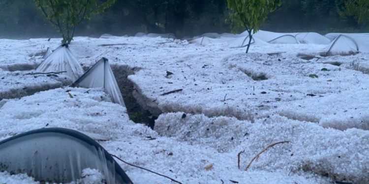 granizo fundão