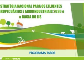ENEAPAI 2030