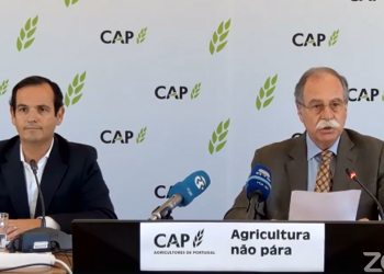 eduardo oliveira e sousa