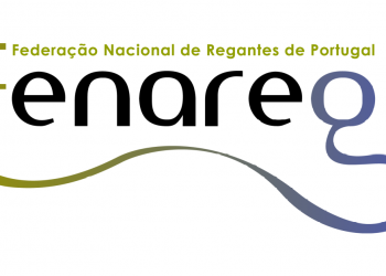 Fenareg