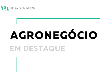 agronegocio vieira de almeira vda