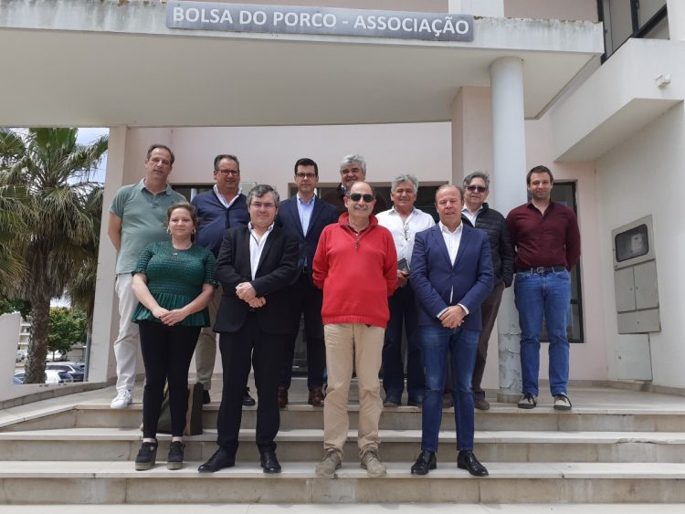 corpo sociais fpas