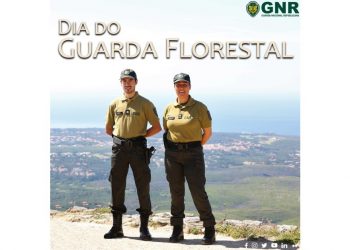 dia do guarda florestal