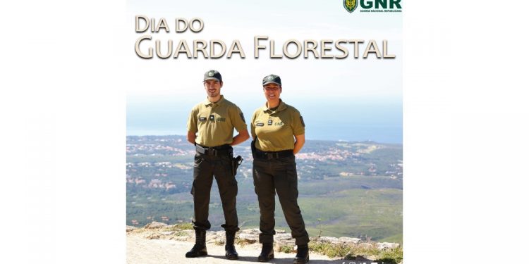 dia do guarda florestal