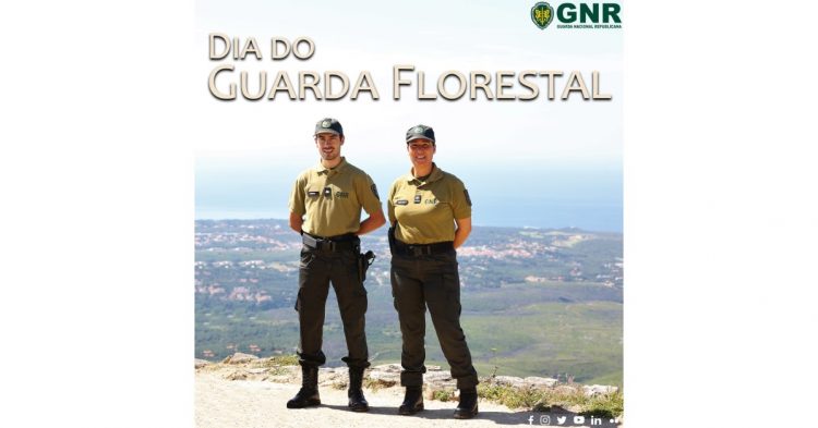 dia do guarda florestal