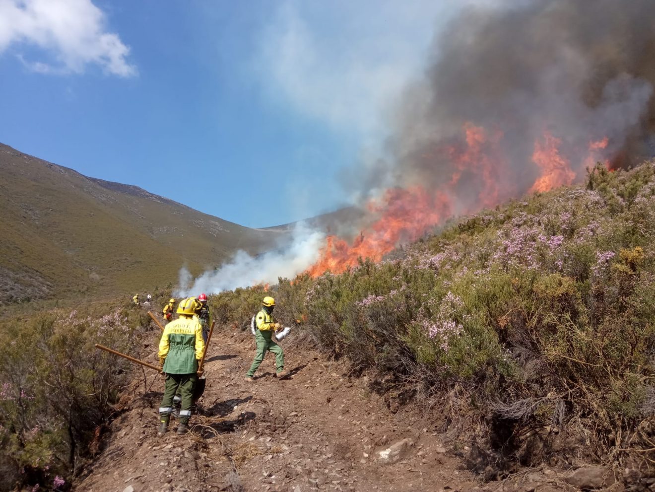 fogo controlado icnf