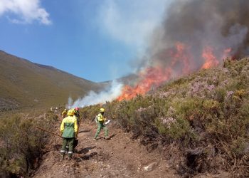 fogo controlado icnf
