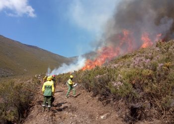 fogo controlado icnf