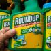 roundup