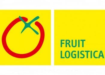 fruit logistica