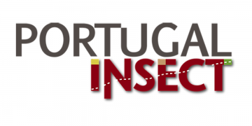 Portugal Insect