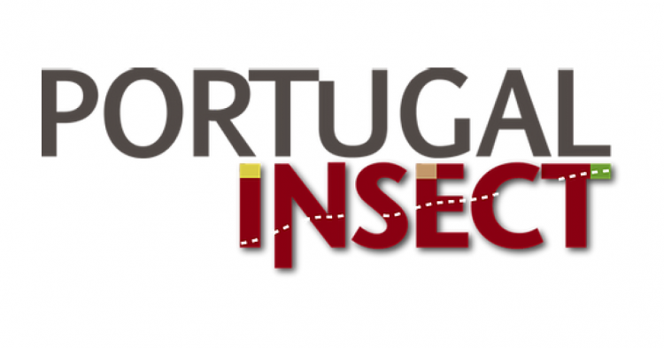 Portugal Insect
