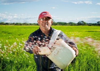 agricultor