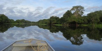amazonia