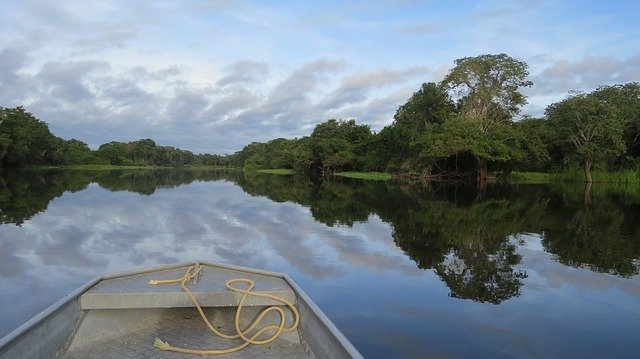 amazonia