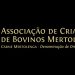 ACBM mertolengos