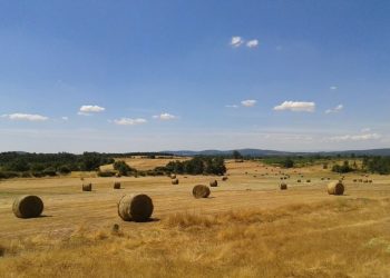 Campo agrícola Trás-os-Montes