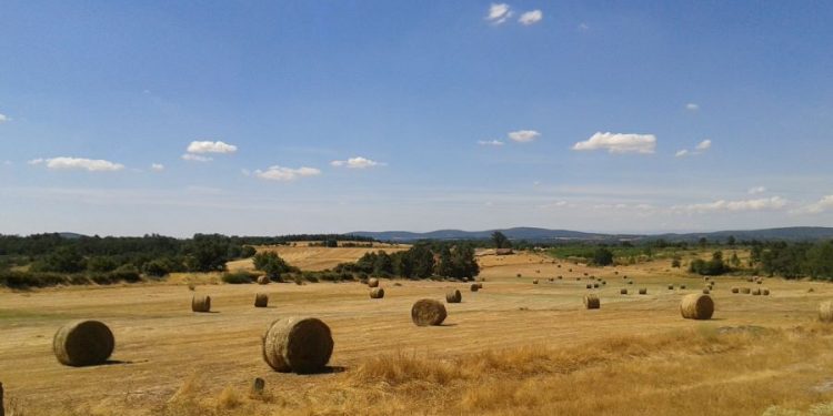 Campo agrícola Trás-os-Montes